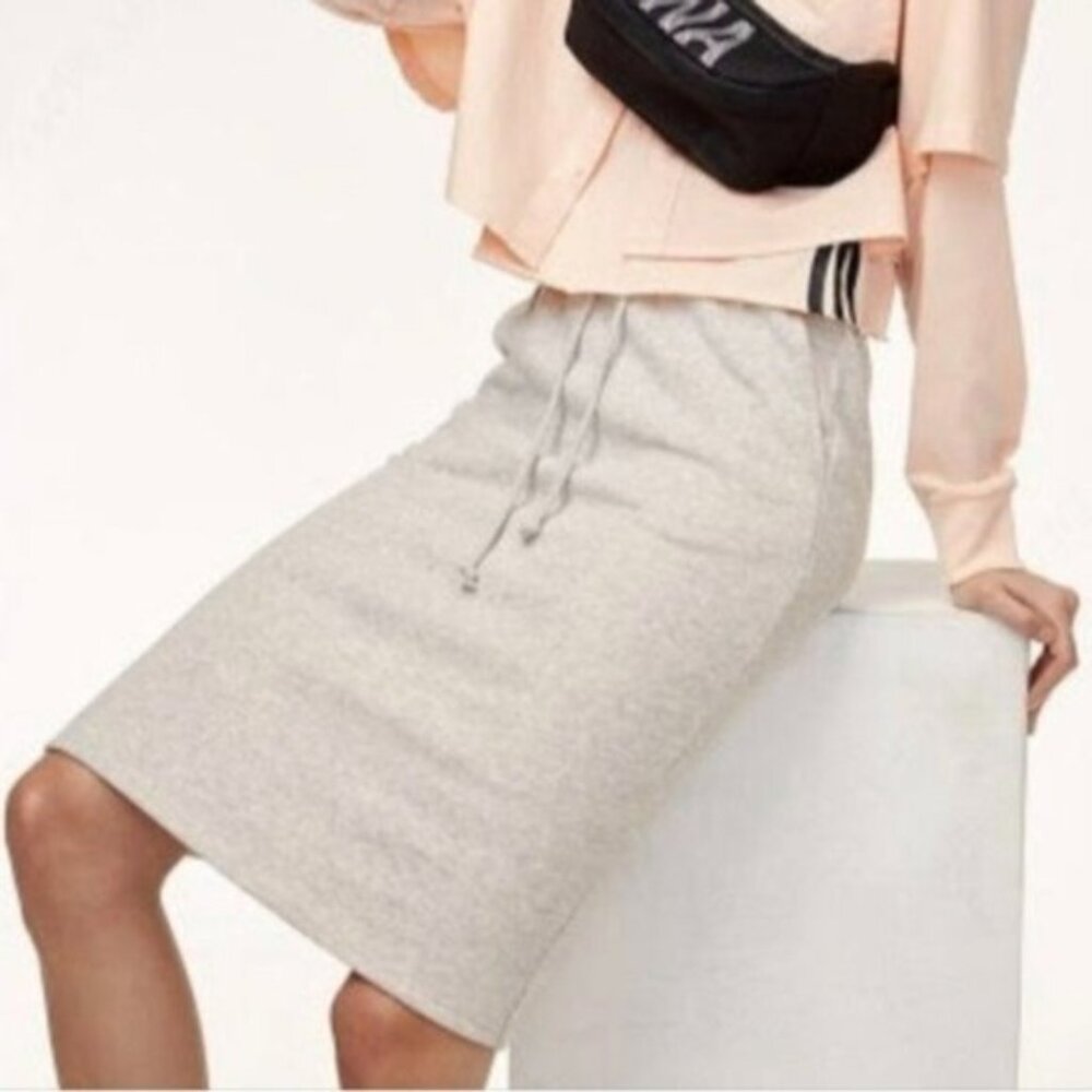 Aritzia TNA Cariboo skirt - light gray